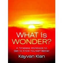 What Is Wonder?