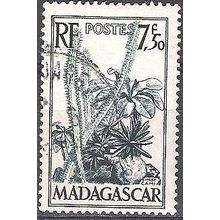 Madagascar 1954 Michel 423 O Cote (2005) 0.40 € Didiera madagascariensis