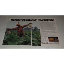 1987 Ciba-Geigy Ridomil Ad - Stops Disease in Tobacco Fields