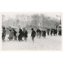New York Blizzard Bus Transport Disaster Award Photo Postcard