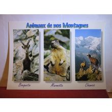 LES ANIMAUX DE NOS MONTAGNES unused postcard dated 2002 animals, mountains #