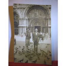 PIGEONS, ST. MARK'S SQUARE, VENEZIA, VENICE. ITALY unused antique postcard #
