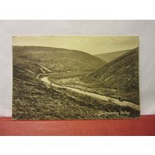 BADGWORTHY VALLEY, EXMOOR unused antique postcard by F. Frith =