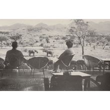 Kilaguni Lodge Tsavo Royal National Park Kenya Africa Postcard