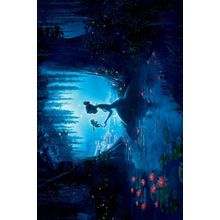 The-Princess-and-the-Frog Poster Canvas Movie Film Print A0 A1 A2 A3 A4 A5 A6 Ar