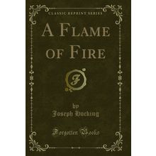 A Flame of Fire (Classic Reprint)