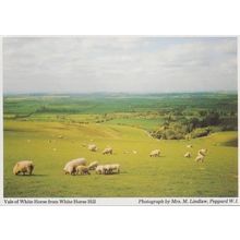 Sheep at White Horse Hill Grazing Farm Oxfordshire Womens Institute Postcard