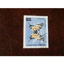 Hungary 1966 Butterflies Moths Scarce Swallowtail fine used stamp SG2153 insects