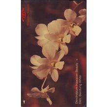 Dendrobium Hawaiian Beauty Dan Bandung White S'pore $10 Telephone Card (Used)