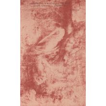 Michelangelo Florence Antique Painting Statue Stunning Red Old Postcard