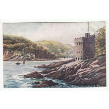 Dartmouth from Kingswear Castle Devon Tucks Oilette Art Postcard 7969
