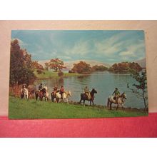 PONY TREKKING, WINDERMERE, CUMBRIA. unused postcard =