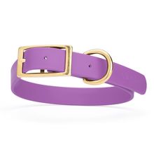 Dog Pet Collar with Brass Hardware Size XL W 1” L 22” - 25" Amethyst Purple