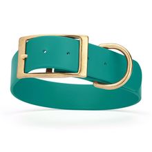 Dog Pet Collar with Brass Hardware Size L W 1.5” L 16” - 20” Blue Aqua