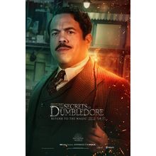 Fantastic Beasts_ The Secrets of Dumbledore (2022)_8 Movie Film Poster Canvas ic