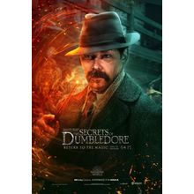Fantastic Beasts_ The Secrets of Dumbledore (2022)_12 Movie Film Poster Canvas i