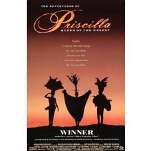 Priscilla of the Desert (3) Poster Canvas Movie Film Print A0 A1 A2 A3 A4 A5 A6