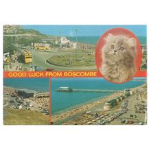 multiview, BOSCOMBE, Hampshire unused vintage postcard by J. Salmon =