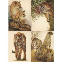 Tiger Puma Cubs 4x Giant Cat Painting Postcard s