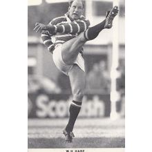 Dusty WH Hare Nottingham Leicester Rugby League Player Postcard
