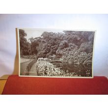 GARDENS, PARK, TEMPLE NEWSAM, LEEDS, YORKSHIRE used postcard by Valentine =