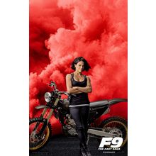 F9 (2021)_5 Movie Film Poster Canvas iconic design