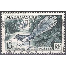 Madagascar 1954 Michel 425 O Cote (2005) 0.60 € Brachyptérolle à longue queue