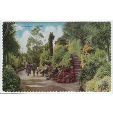 Rock Walk Torquay Devon Postcard T7