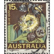 AUSTRALIA, FLOWER, Tasmanian blue gum, brown 1968, 15c, #2