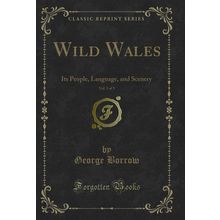 Wild Wales, Vol. 3 of 3: Its People, Language, and Scenery (Classic Reprint)