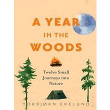 A Year In The Woods