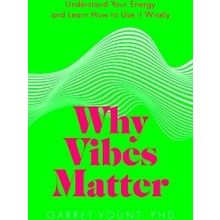 Why Vibes Matter