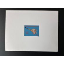 Gabon 1995 Mi. 1193 Epreuve de Luxe Coquillages Shell Muricidae Murey