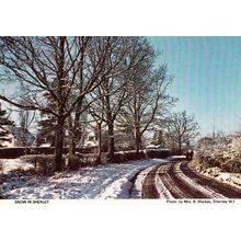 Shenley Snow Winter Christmas Xmas View Hertfordshire Womens Institute Postcard