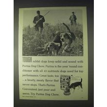 1970 Purina Dog Chow Ad - Tough Rabbit Dogs