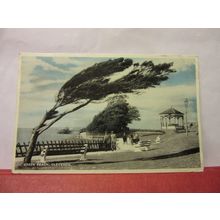 GREEN BEACH, CLEVEDON, SOMERSET used postcard by E T W Dennis 1960 pm =