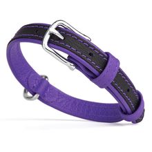 Soft Leather Dual Color Collar W 1" L 19-24" Purple