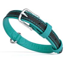Soft Leather Dual Color Collar W 3/4" L 15-19" Teal
