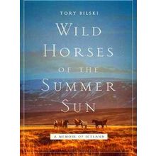 Wild Horses of the Summer Sun
