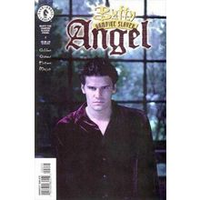 Buffy the Vampire Slayer: Angel (2001 Ltd) # 002 NM CoverB MODERN AGE COMICS