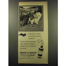 1949 Black & White Scotch Ad - This was a very pleasant match, Whitey!