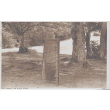 New Forest The Rufus Stone New Forest Hampshire Postcard (QHAM185)