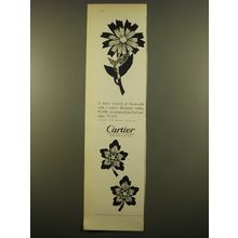 1961 Cartier Daisy Brooch and Leaf Earclips Advertisement