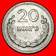 Ⰶ CHINA: MONGOLIA ★ 20 MUNGUS 1959 COW AND SHEEP!★LOW START★NO RESERVE
