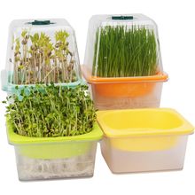 Microgreen Growing Trays, LUVCSOY Sprouting Tray with Humidity Dome, 3Mm Large M