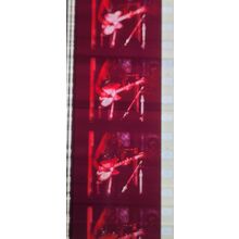 ALICE COOPER. Pk MTP - c065M . 1 STRIP OF 5 - 35MM FILM CELLS.