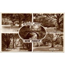 R.P. MULTI-VIEW POSTCARD OF NEW FOREST BEAUTY SPOTS HAMPSHIRE POSTED 1955 (4244)