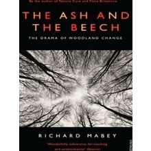 Ash & The Beech