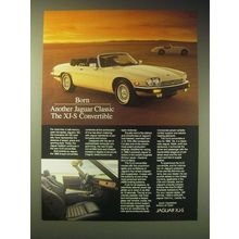 1989 Jaguar XJ-S Convertible Ad - Born another Jaguar Classic