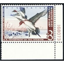 RW29, Mint NH XF/Superb $3 Duck Stamp - PSE Graded 95 * Stuart Katz